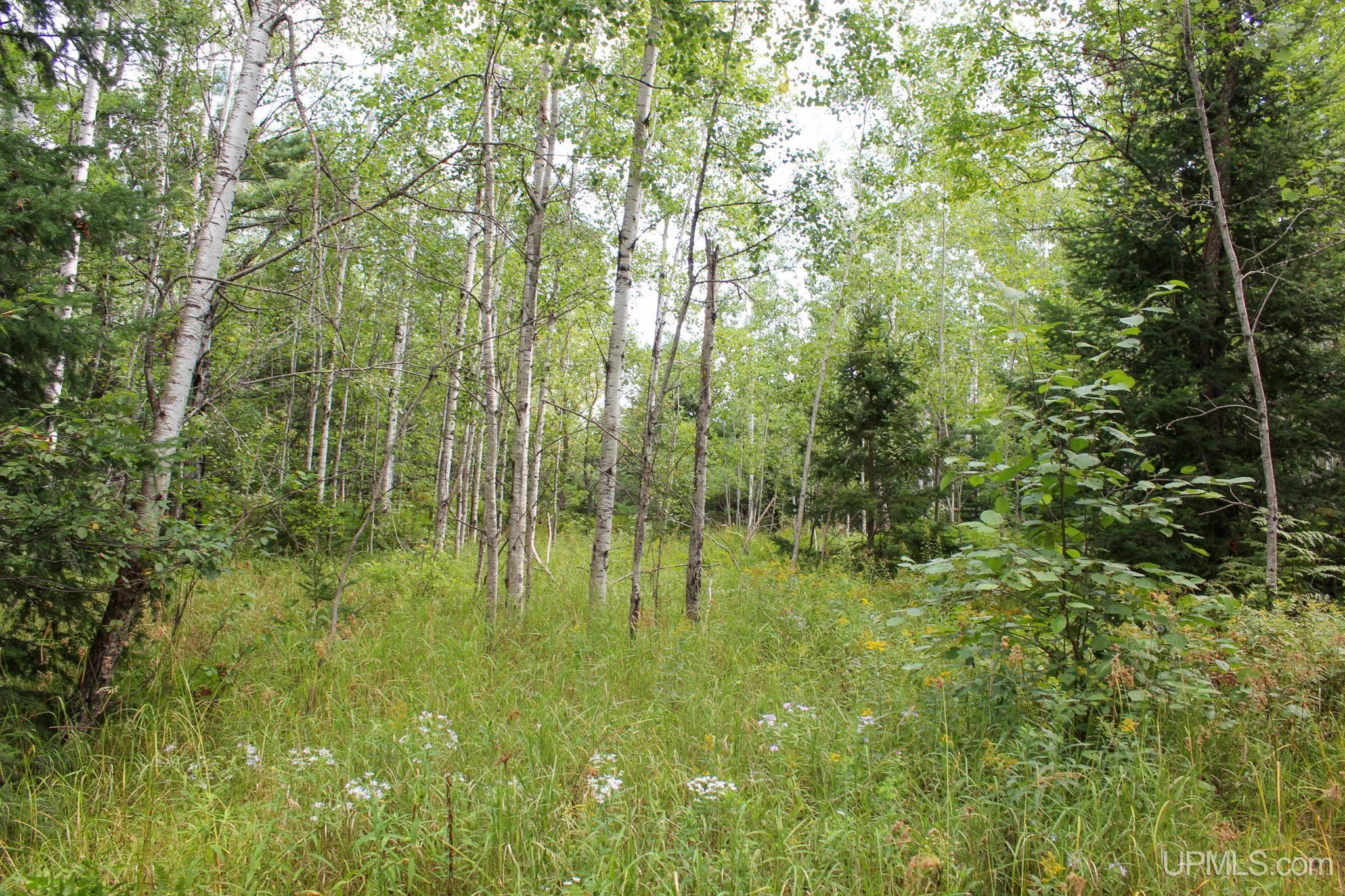 Tbd Michaelson Road Pelkie, MI 49958 - Photo 40 of 73 Gallery Image 40