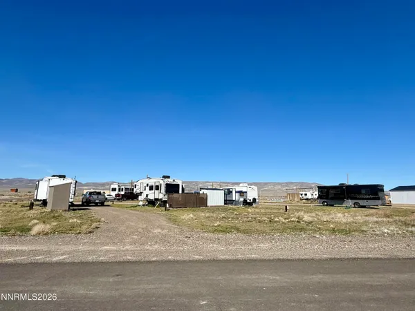 a view of a dry yard with trees