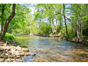 Lot 7 Catnip Road, Unit 7 Del Rio, TN 37727 - Photo 1 of 1 Photo 1