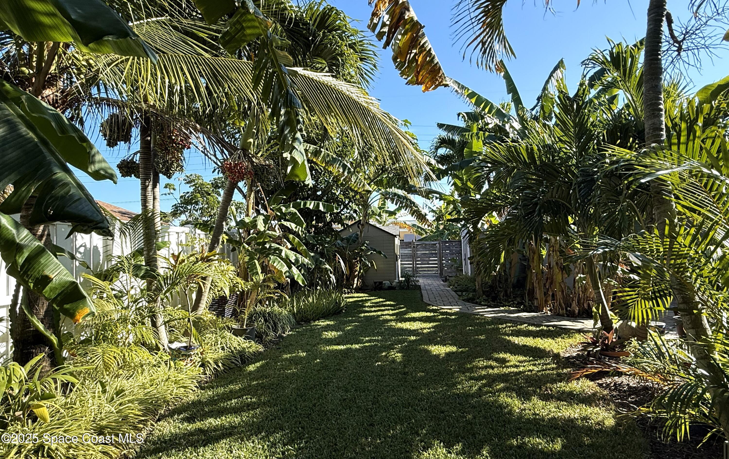 280 Azalea Terrace Indian Harbour Beach, FL 32937 - Photo 42 of 44 Back Yard