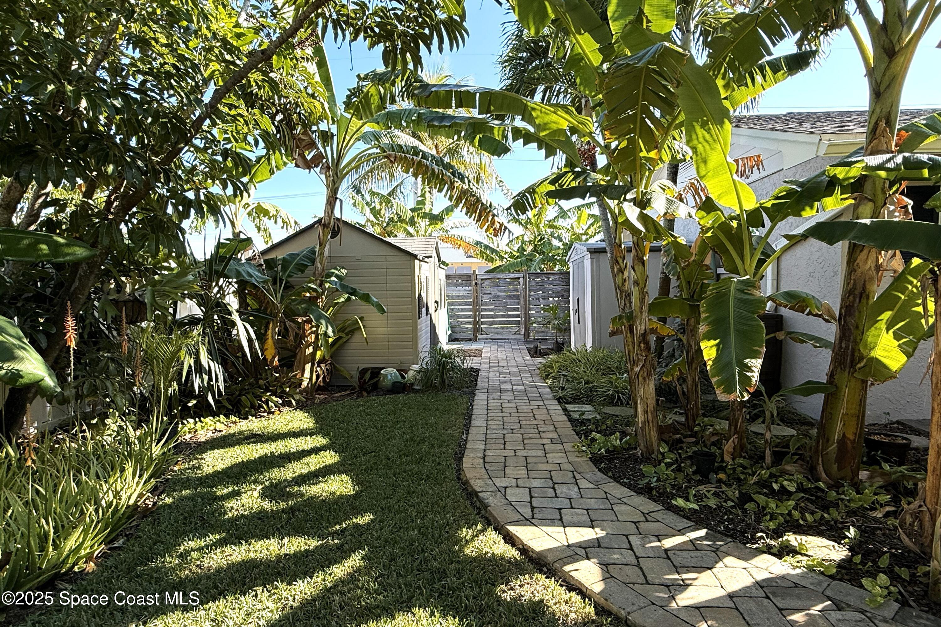 280 Azalea Terrace Indian Harbour Beach, FL 32937 - Photo 5 of 44 Back Yard