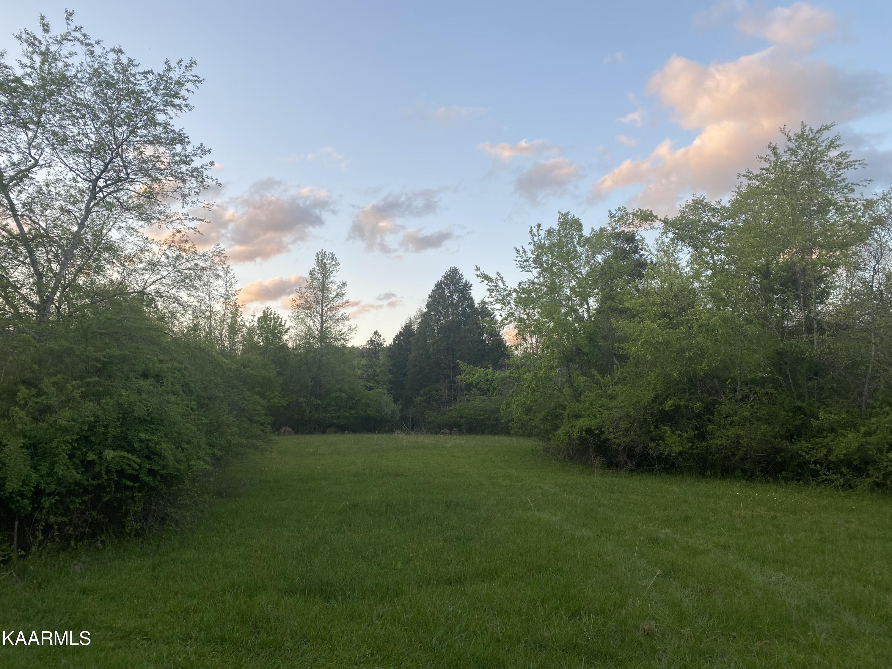 642 Caney Creek Road Harriman, TN 37748 - Photo 3 of 10 6B29A3D8-62F3-46CB-8D46-D7AB8DB408F6