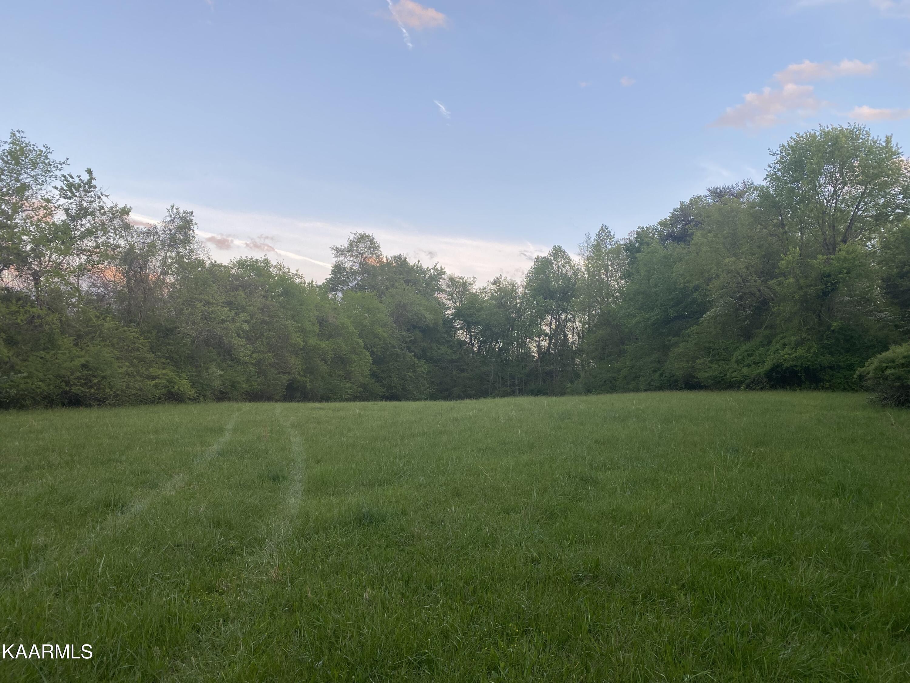 642 Caney Creek Road Harriman, TN 37748 - Photo 4 of 10 777A68B0-2A59-4ECC-B8A6-78A5BCB5E48A