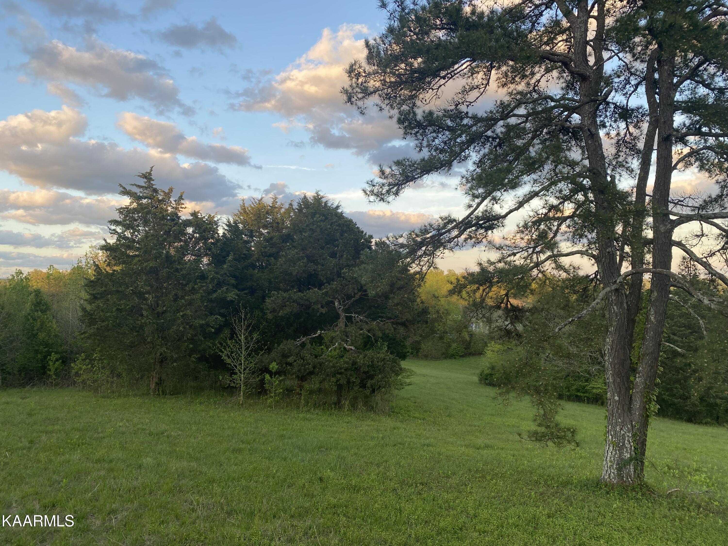 642 Caney Creek Road Harriman, TN 37748 - Photo 5 of 10 DB4284EE-53A1-406A-8EEF-56DEC596B4A8