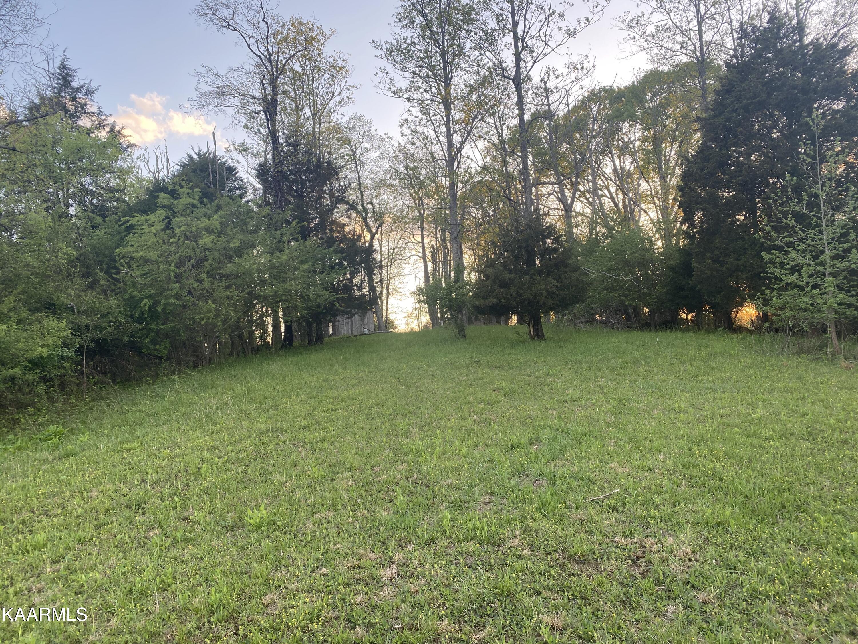 642 Caney Creek Road Harriman, TN 37748 - Photo 7 of 10 1E33A770-FC90-4486-8C62-11ABE764D039