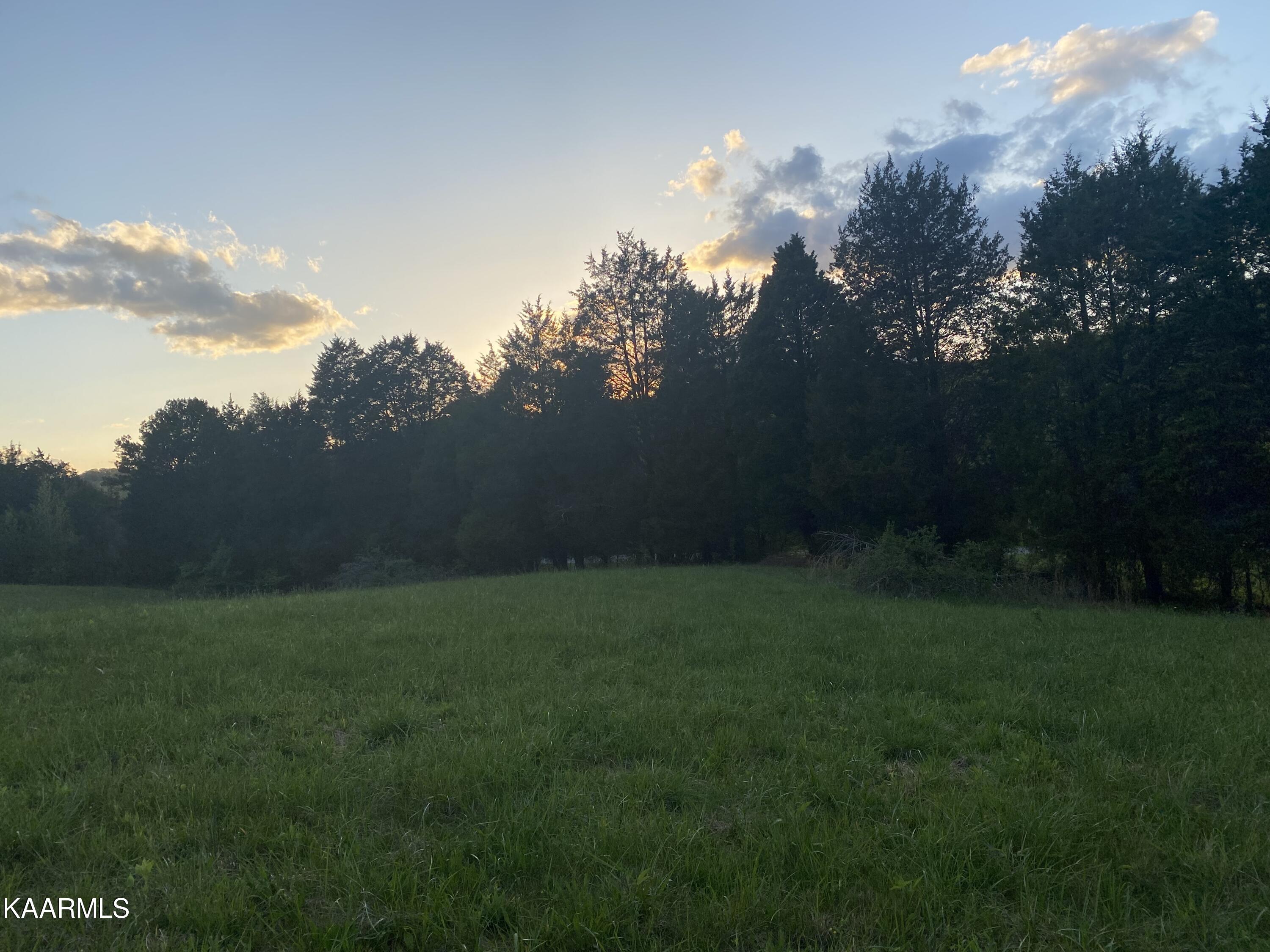 642 Caney Creek Road Harriman, TN 37748 - Photo 8 of 10 A975404E-BEB2-42EA-BAD4-39BB99F64674