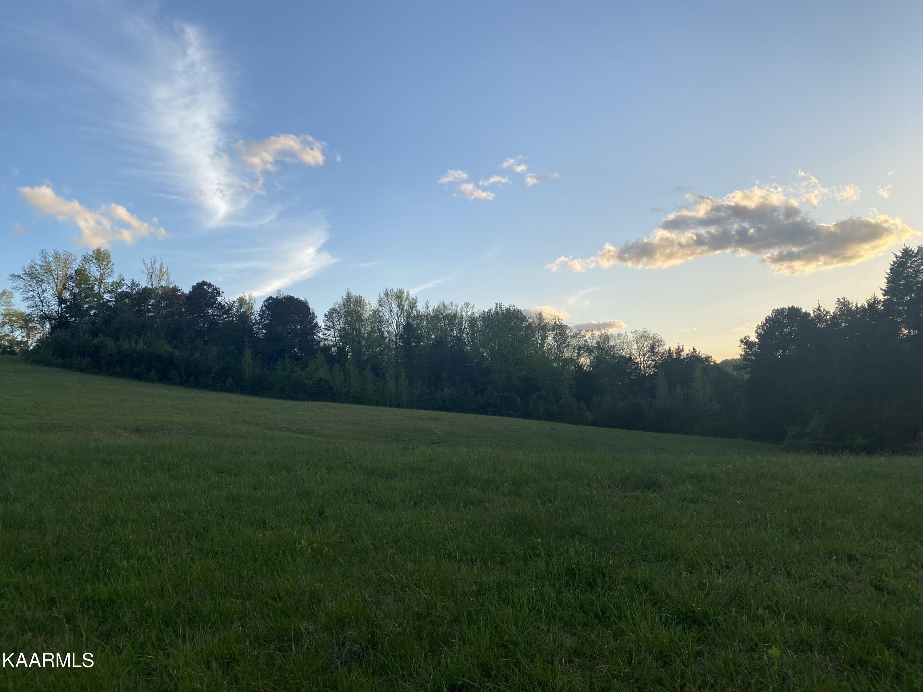 642 Caney Creek Road Harriman, TN 37748 - Photo 9 of 10 D1792D79-EAC4-4F3E-BC04-4A4FDA8BDEC7