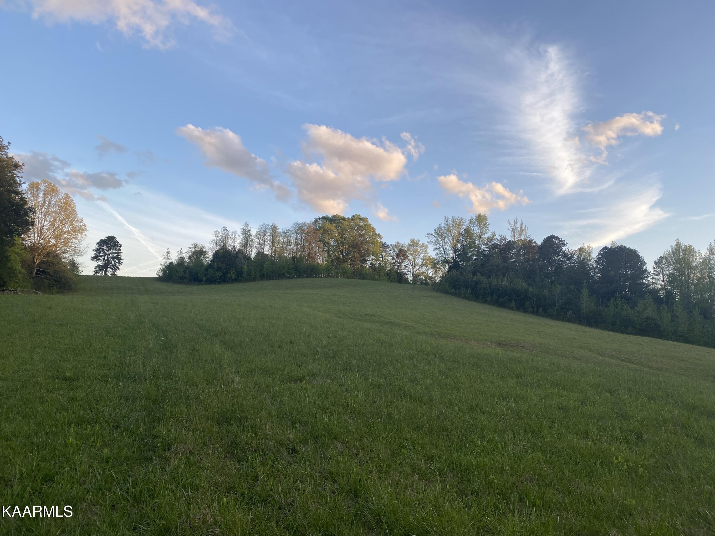 642 Caney Creek Road Harriman, TN 37748 - Photo 10 of 10 279424FB-8B59-4FEB-8EDC-8A2719A30AE1