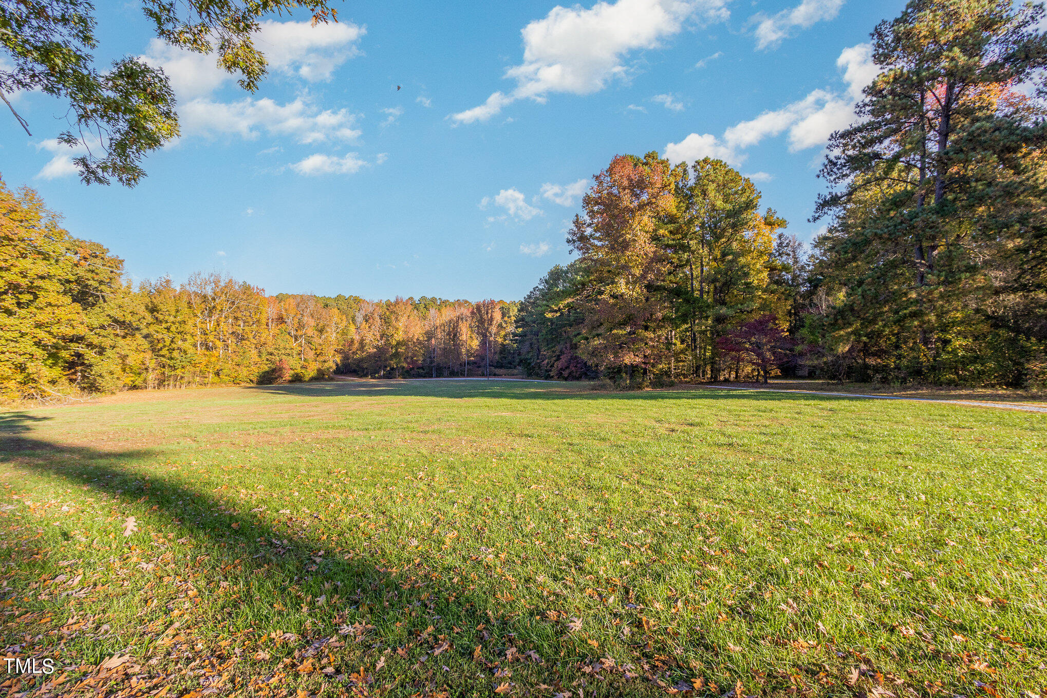 804 Bahama Road Bahama, NC 27503 - Photo 43 of 80 804 Bahama ex front lawn view