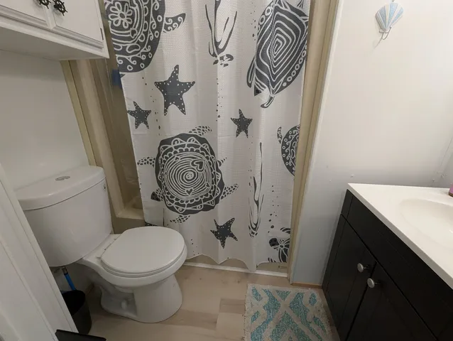 a white toilet sitting next to a shower curtain