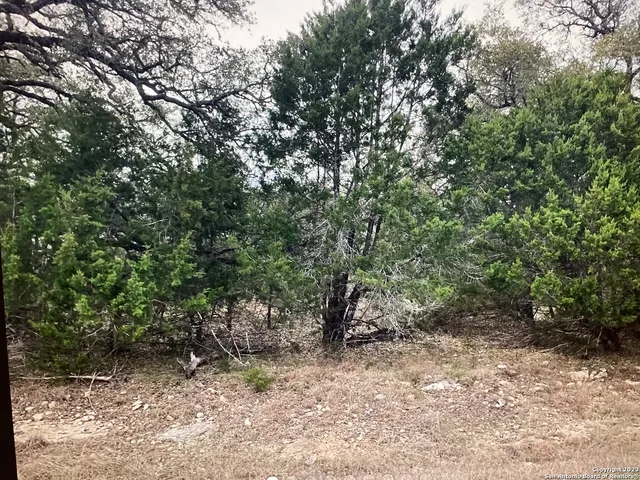 $45,000 | Lot 1403 Asa Harold, Blanco, TX 78606