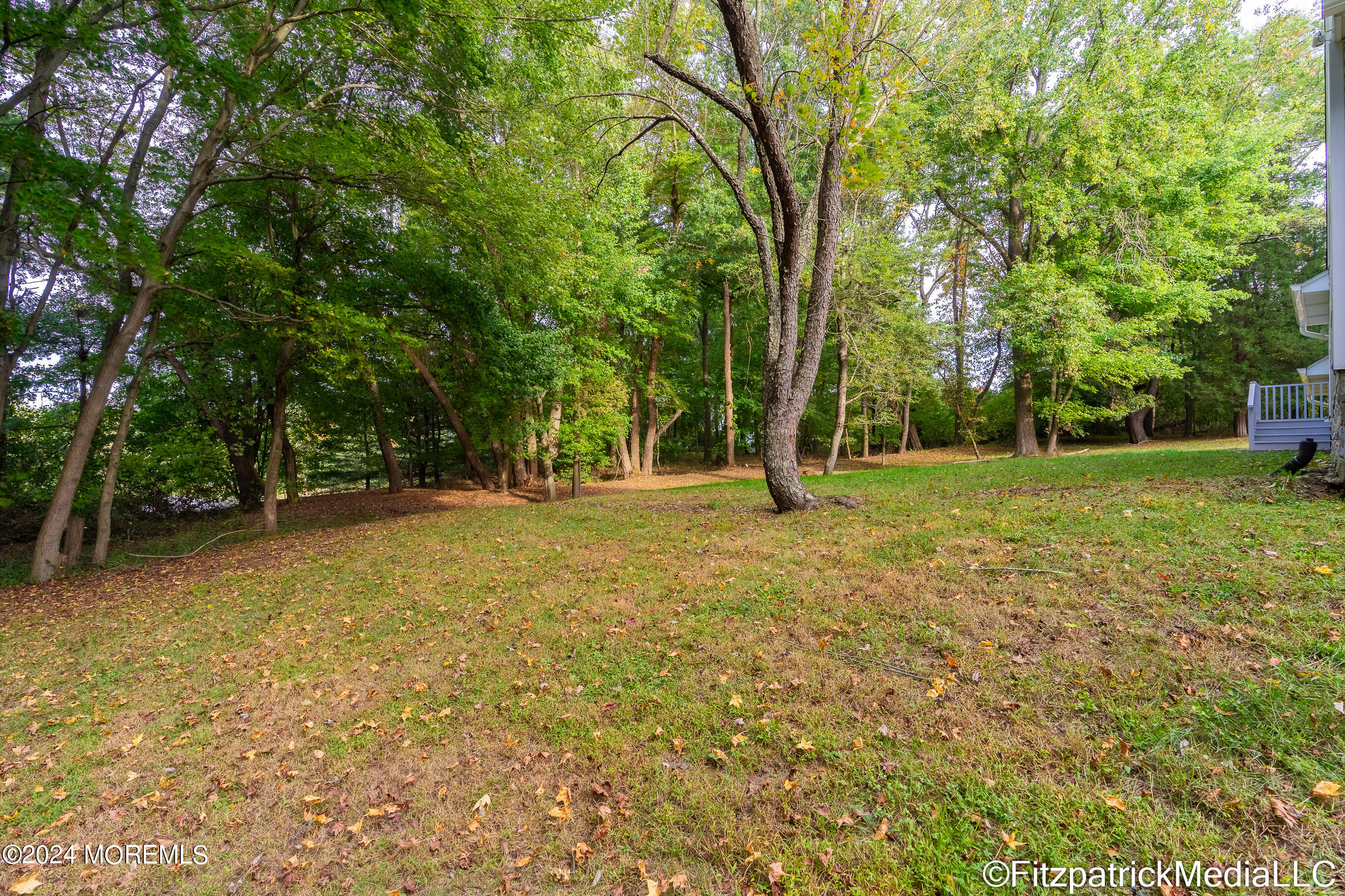 80 Millhurst Road Manalapan, NJ 07726 - Photo 15 of 100 DSC00021-HDR (3)