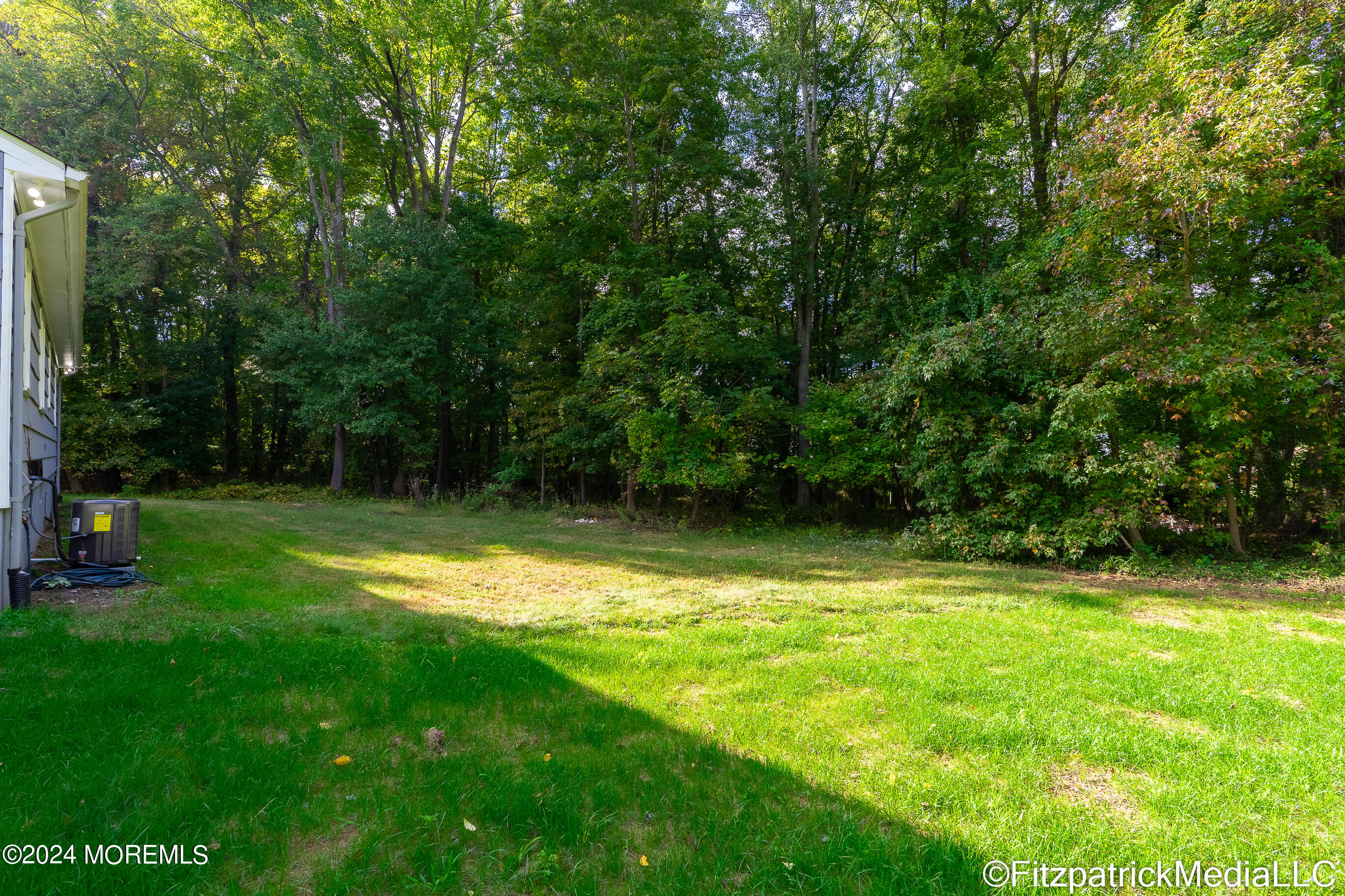 80 Millhurst Road Manalapan, NJ 07726 - Photo 77 of 100 DSC00021-HDR (5)