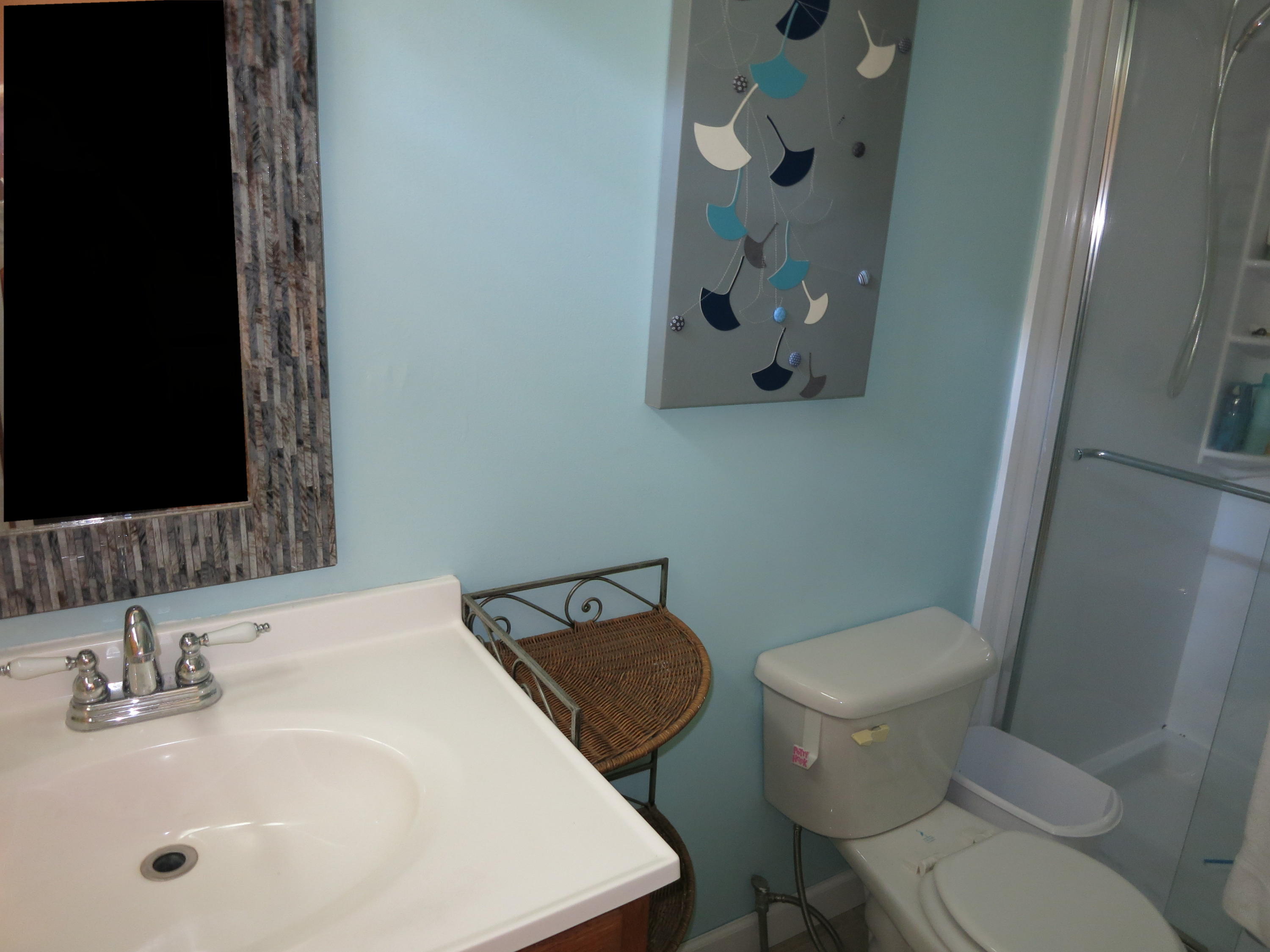 2271 Saunders Road Ringgold, GA 30736 - Photo 14 of 21 Master bath