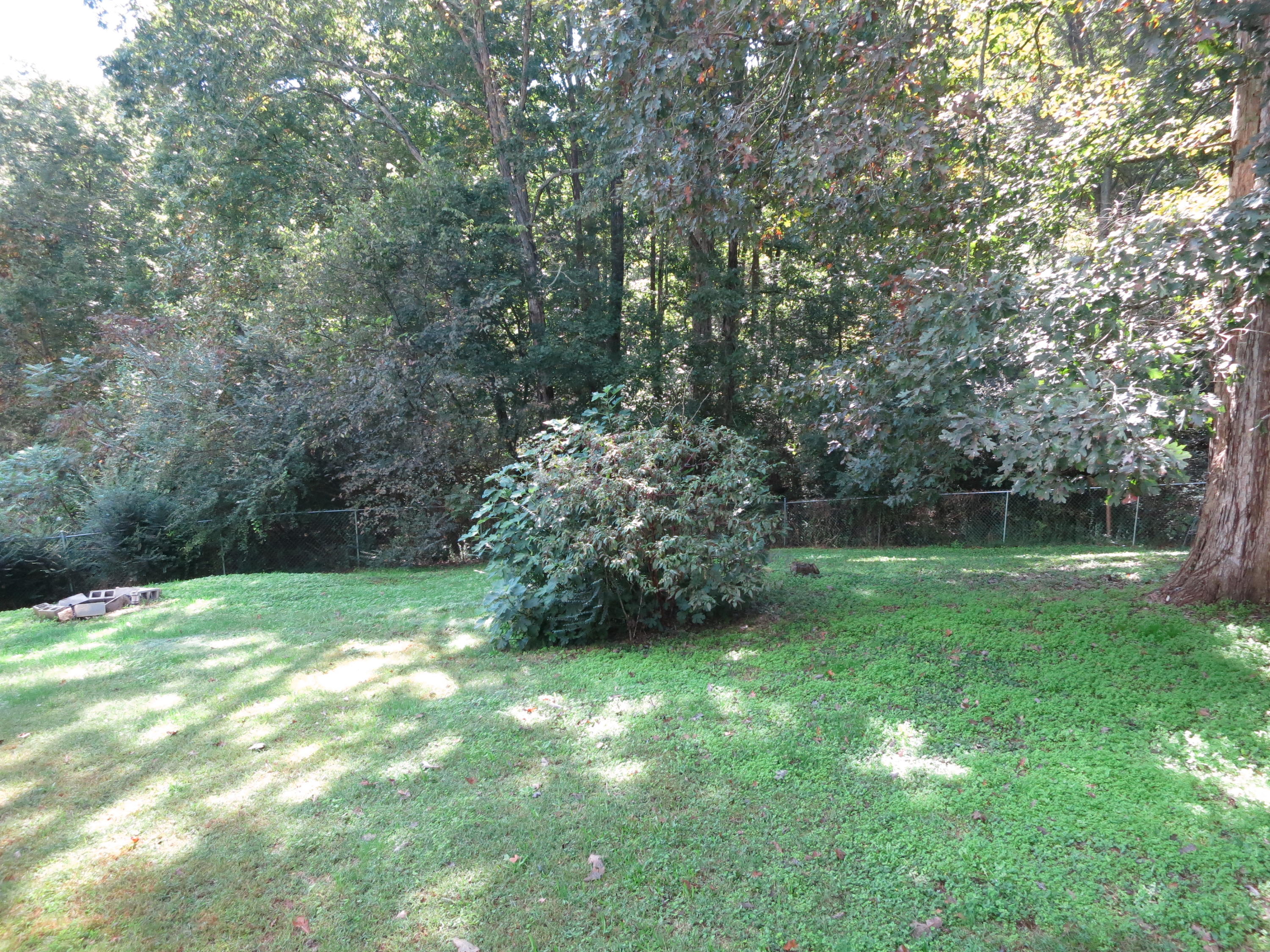 2271 Saunders Road Ringgold, GA 30736 - Photo 20 of 21 back yard