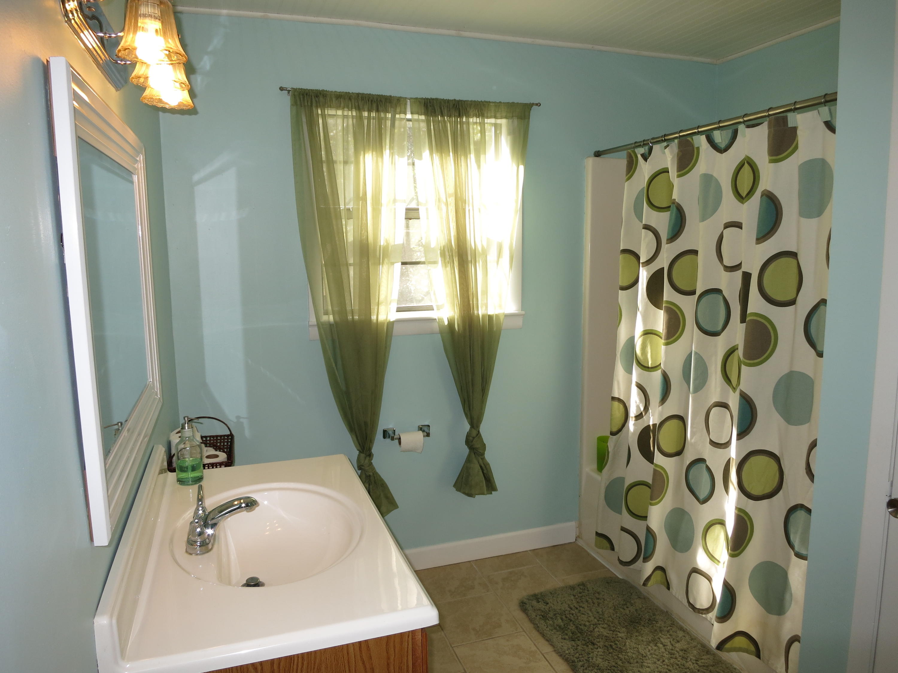 2271 Saunders Road Ringgold, GA 30736 - Photo 8 of 21 Hall bath
