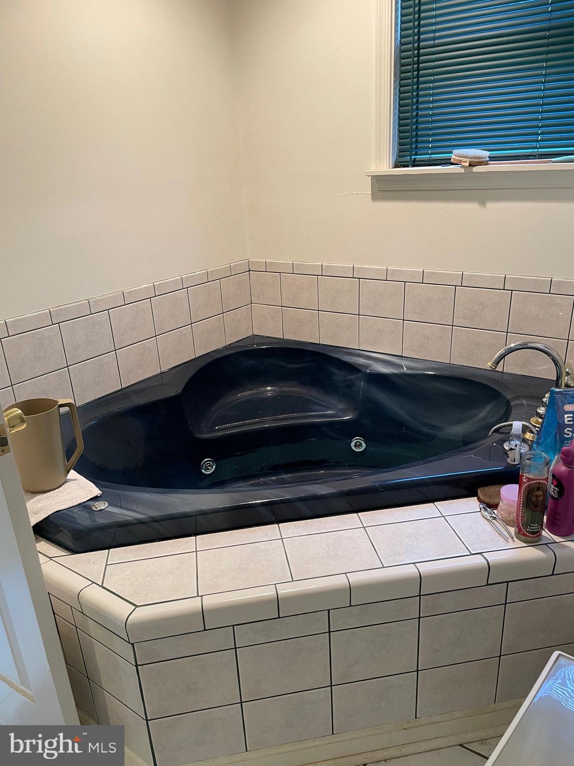 17323 Wesley Chapel Road Monkton, MD 21111 - Photo 14 of 22 Primary bath jacuzzi!