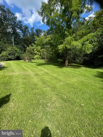 a view of a yard with plants and a bench