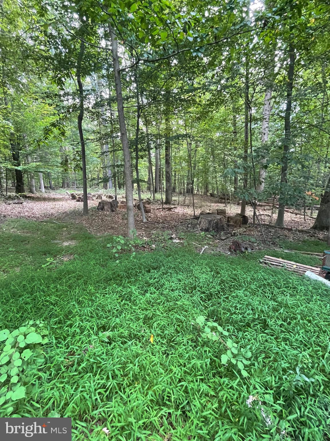 17323 Wesley Chapel Road Monkton, MD 21111 - Photo 21 of 22