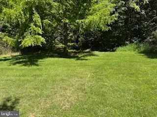 a view of yard with green space