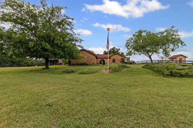 a view of a field with grass and a tree