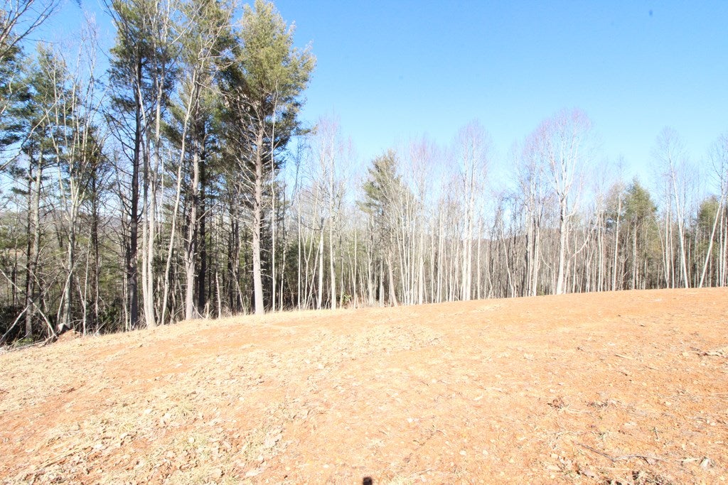 Tbd Ivanhoe Road, Unit 60A34 Fries, VA 24330 - Photo 33 of 45 Gallery Image 33