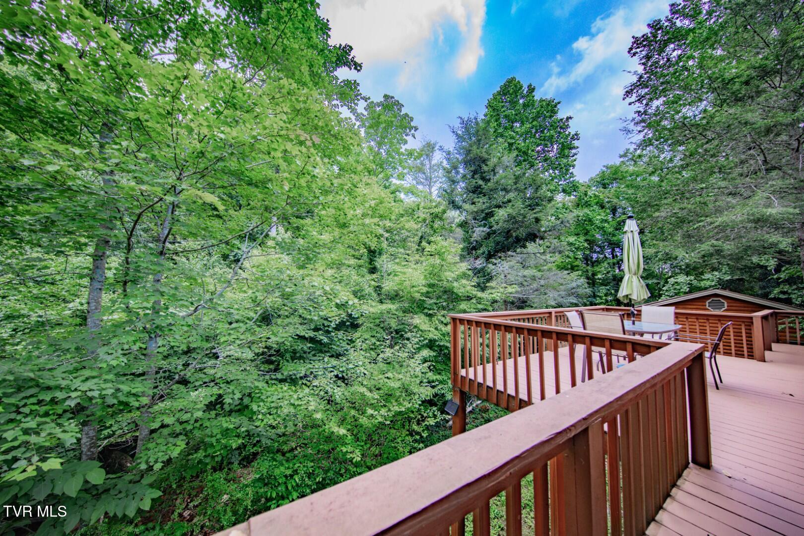 969 Carson Springs Road Newport, TN 37821 - Photo 25 of 35 23