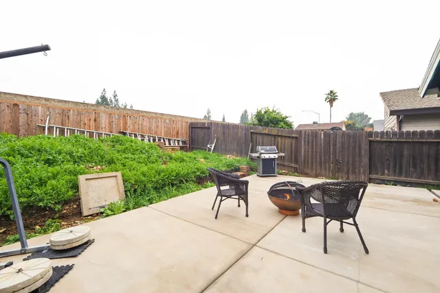 a view of a backyard with plants and a patio