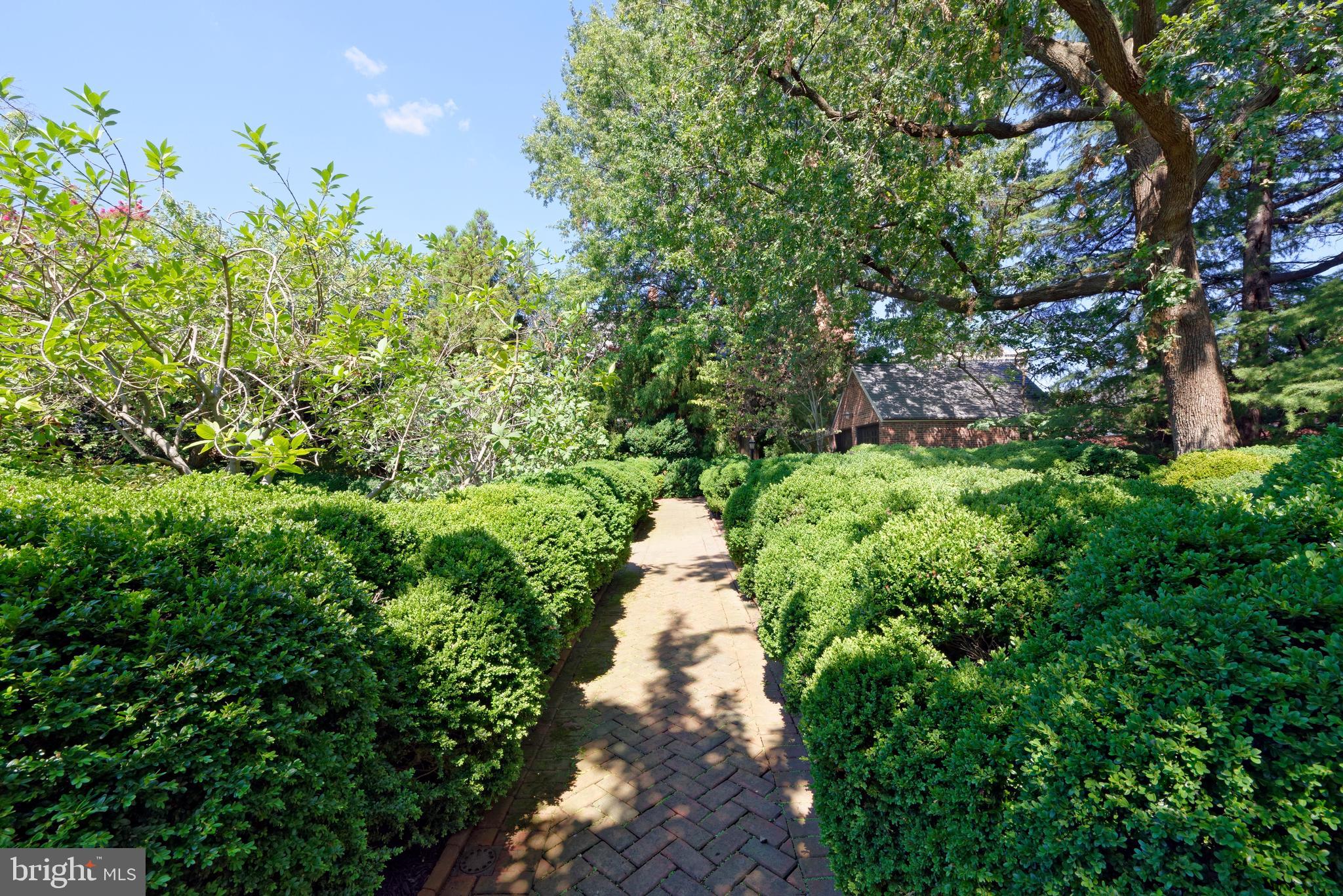607 Oronoco Street Alexandria, VA 22314 - Photo 36 of 41 Mature landscaping