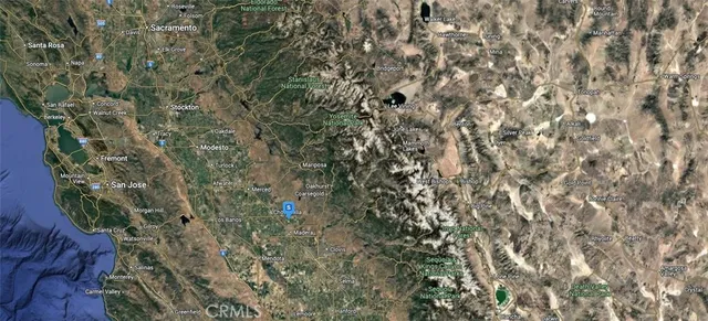 a close up of a plant