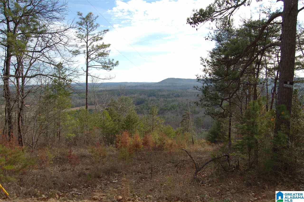 200-acres High Road, Unit 200 ACRES Pell City, AL 35128 - Photo 17 of 17