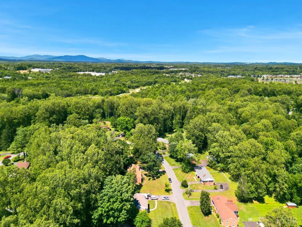 480 Winding Way Road Lynchburg, VA 24502 - Photo 39 of 44