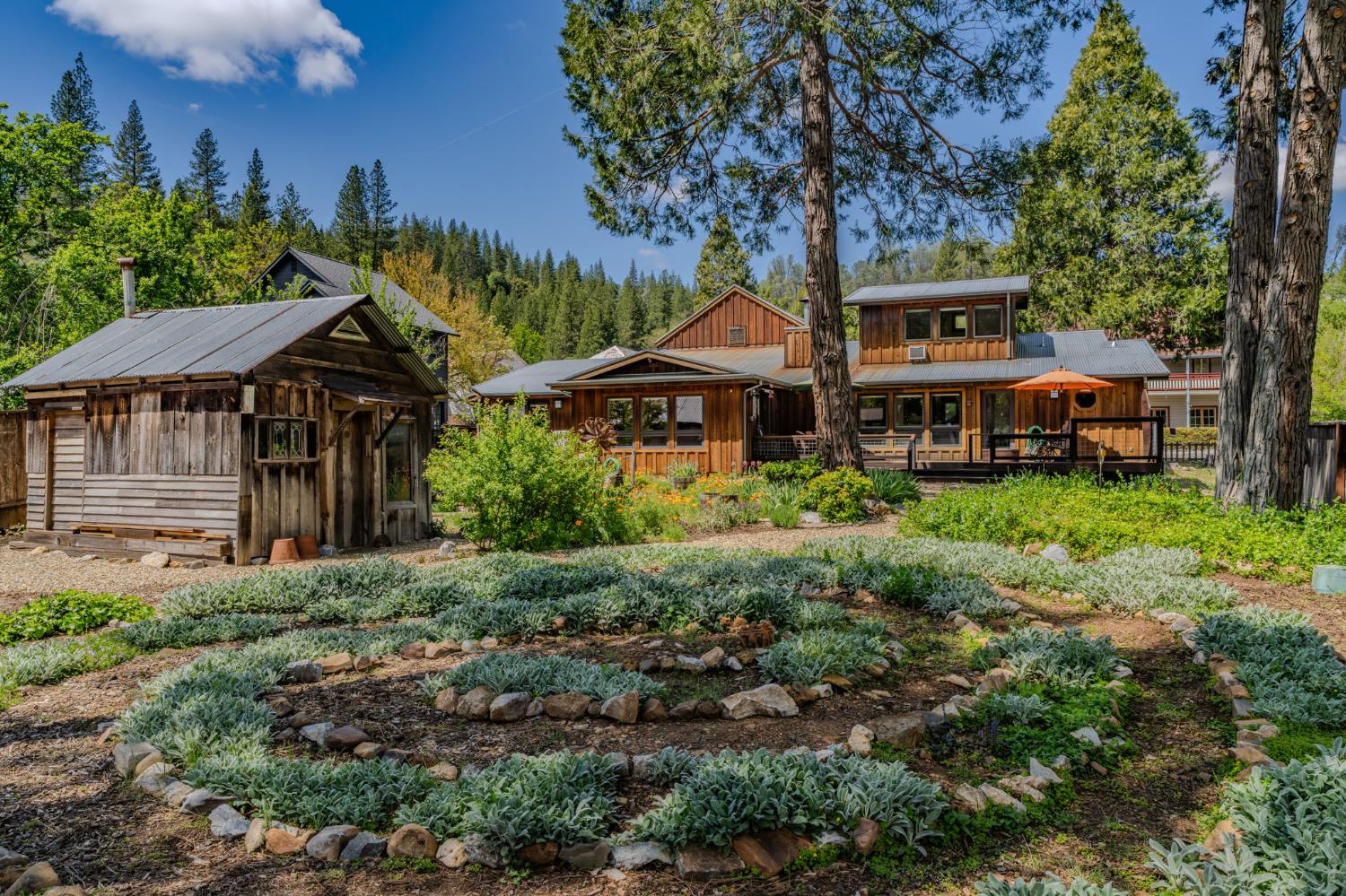 21376 Consolation Street Volcano, CA 95689 - Photo 62 of 70