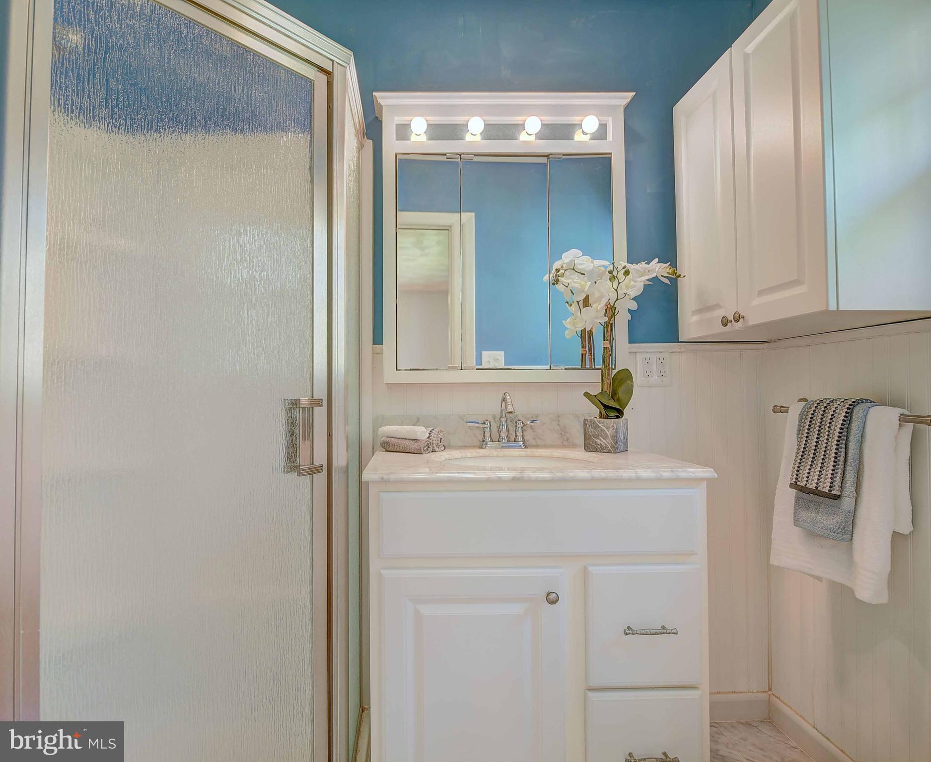 2106 Carsins Run Road Aberdeen, MD 21001 - Photo 20 of 30 Master Bathroom