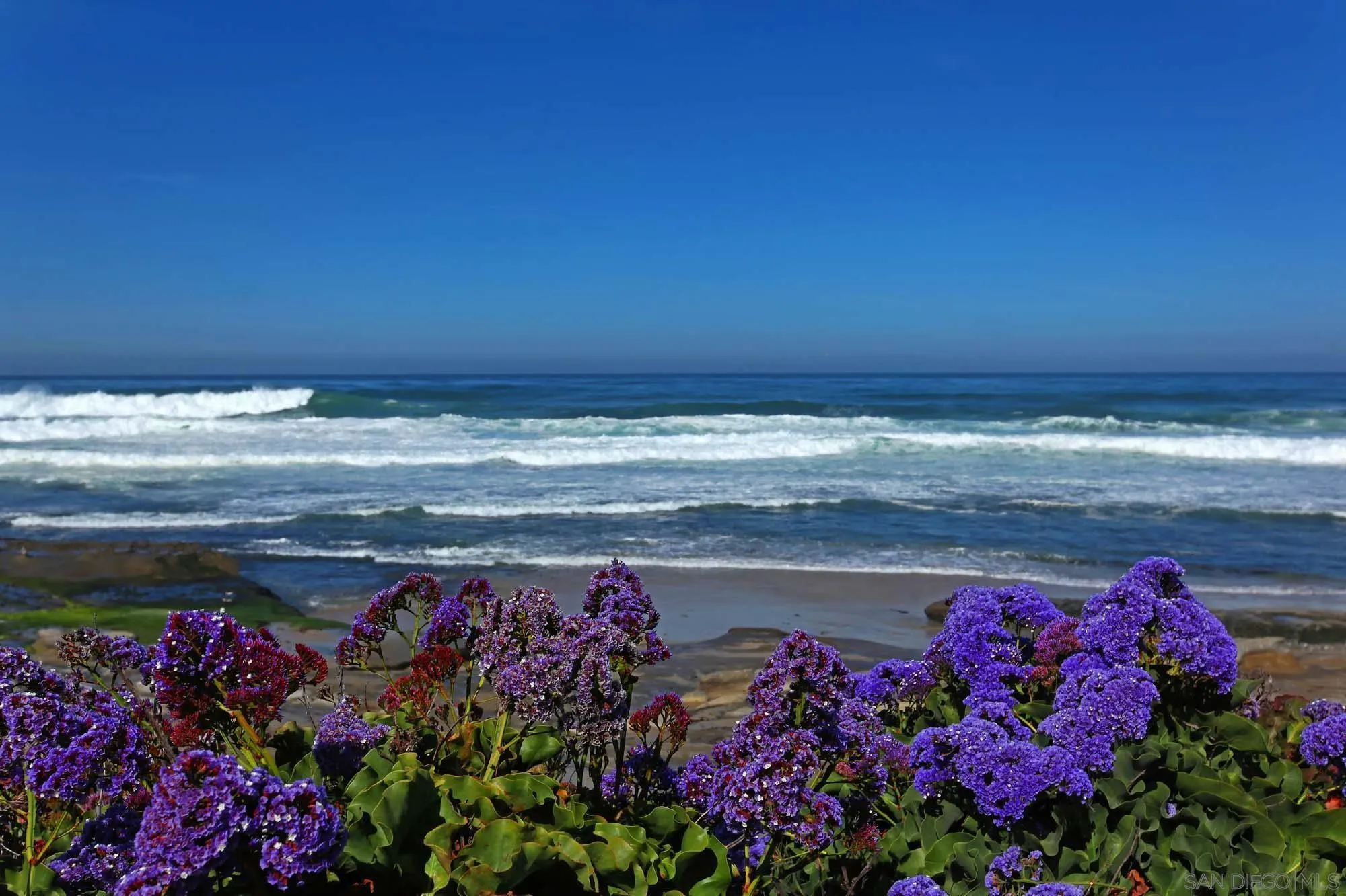 302 Prospect Street, Unit 6 La Jolla, CA 92037 - Photo 24 of 28 a view of an outdoor space