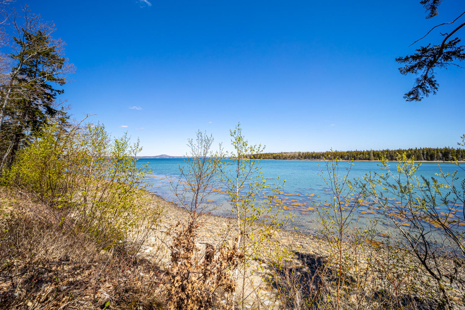 239 Harriman Point Road Brooklin, ME 04616 - Photo 56 of 62 Views 6