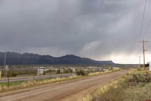 a view of a dry yard