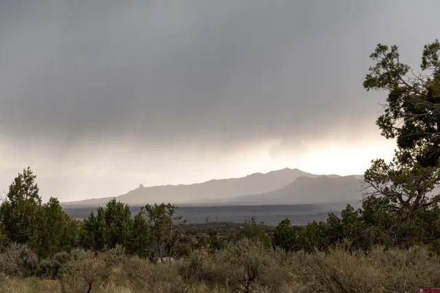 a view of a lake from a yard