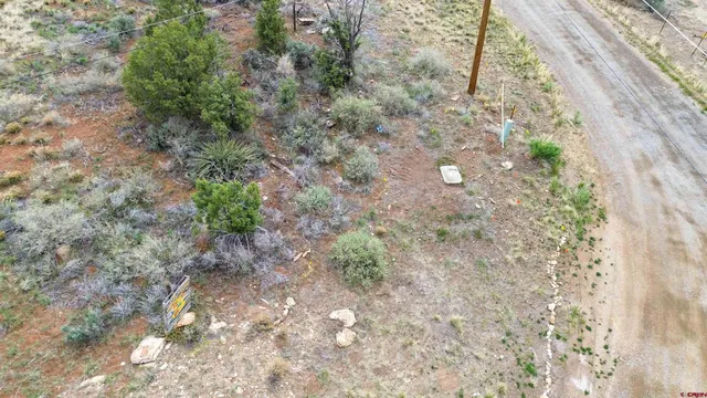 a view of a dry yard with wooden fence