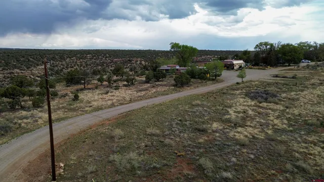 a view of a yard with trees