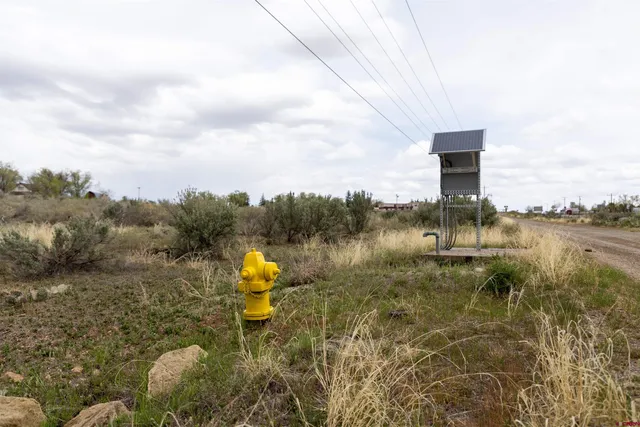 a view of a big yard