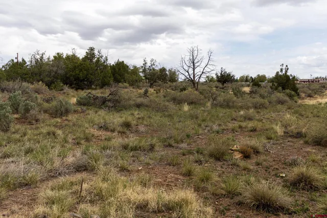 a view of a city and a lot of trees