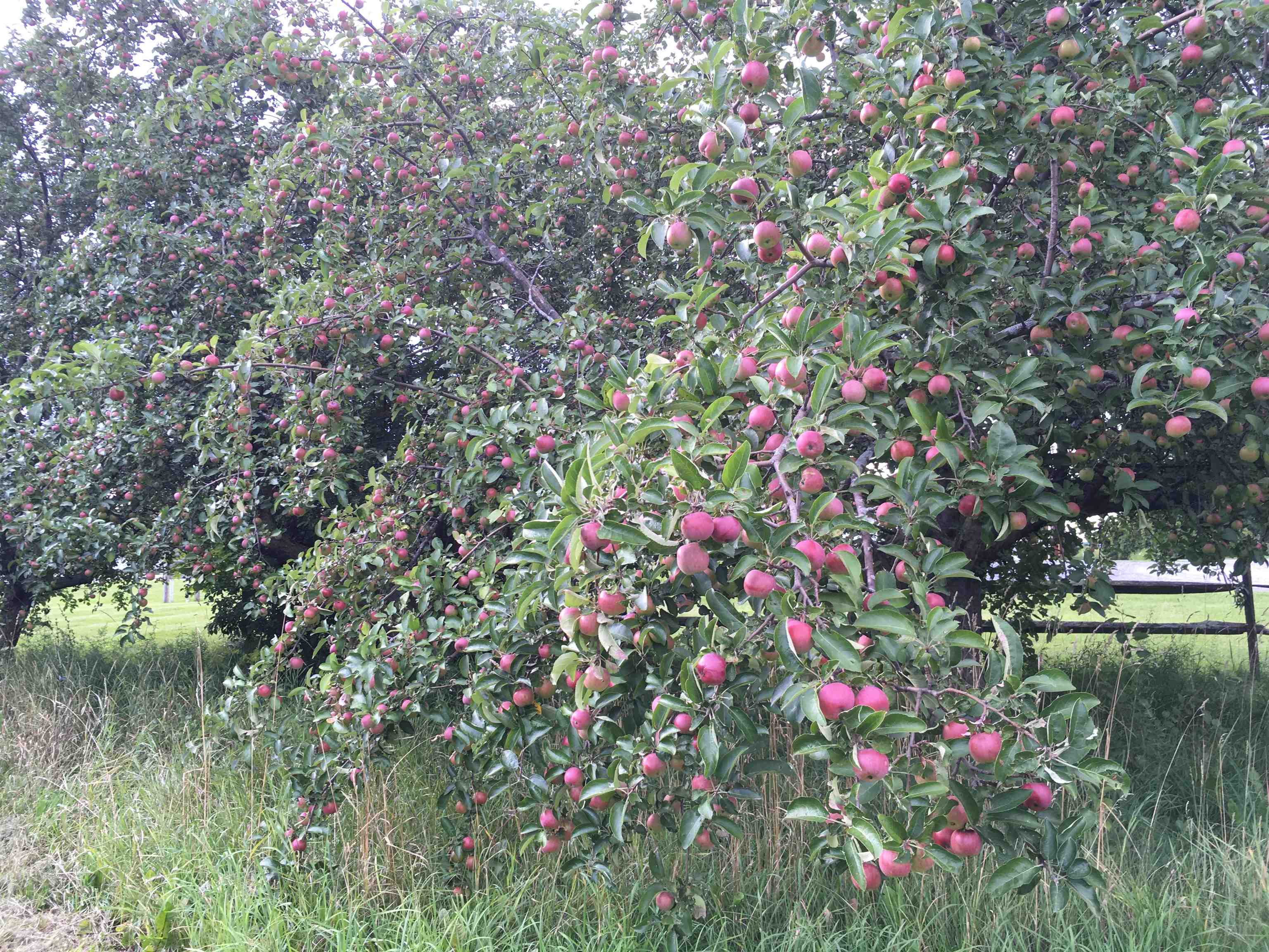 5018 Highway 22A Addison, VT 05491 - Photo 41 of 53