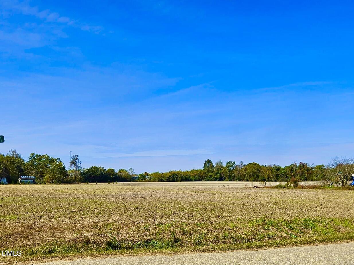 0 Hudson Street Turkey, NC 28393 - Photo 2 of 4 6386859236457391693
