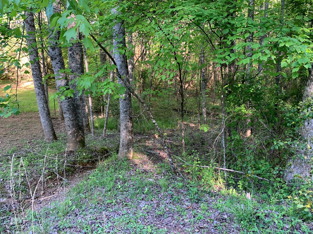 4 Hunter Vly Road Murphy, NC 28906 - Photo 10 of 16