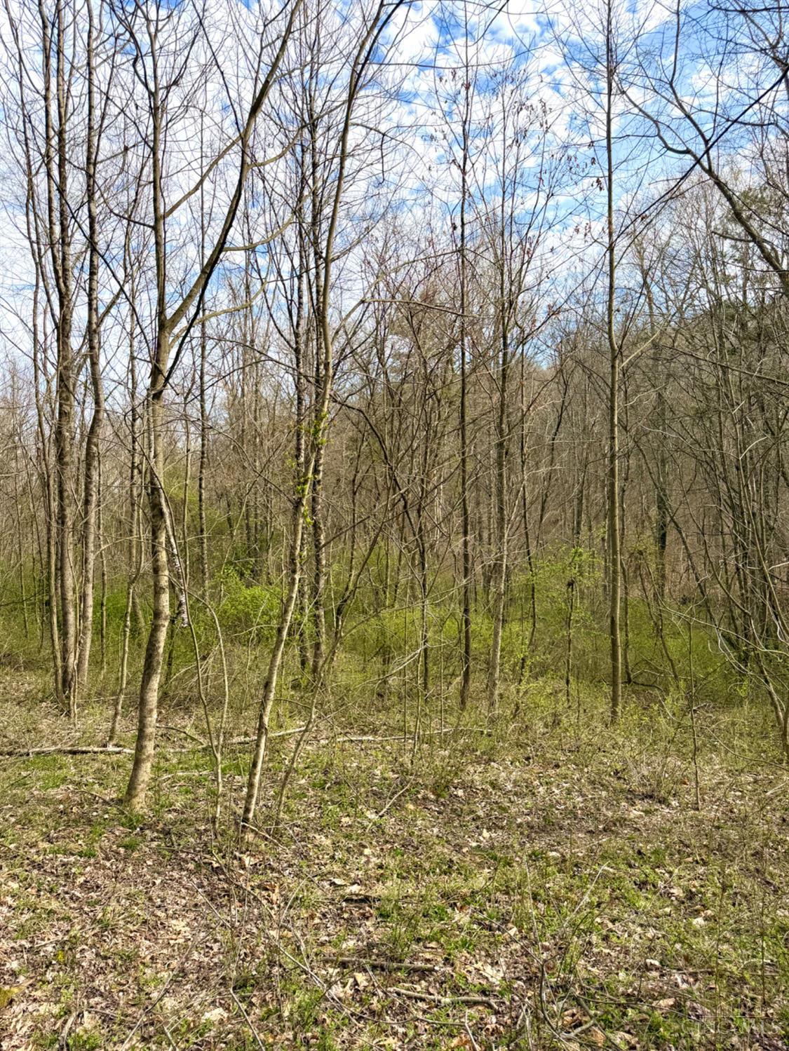 0 Fyffe Hollow Road Chillicothe, OH 45601 - Photo 60 of 96