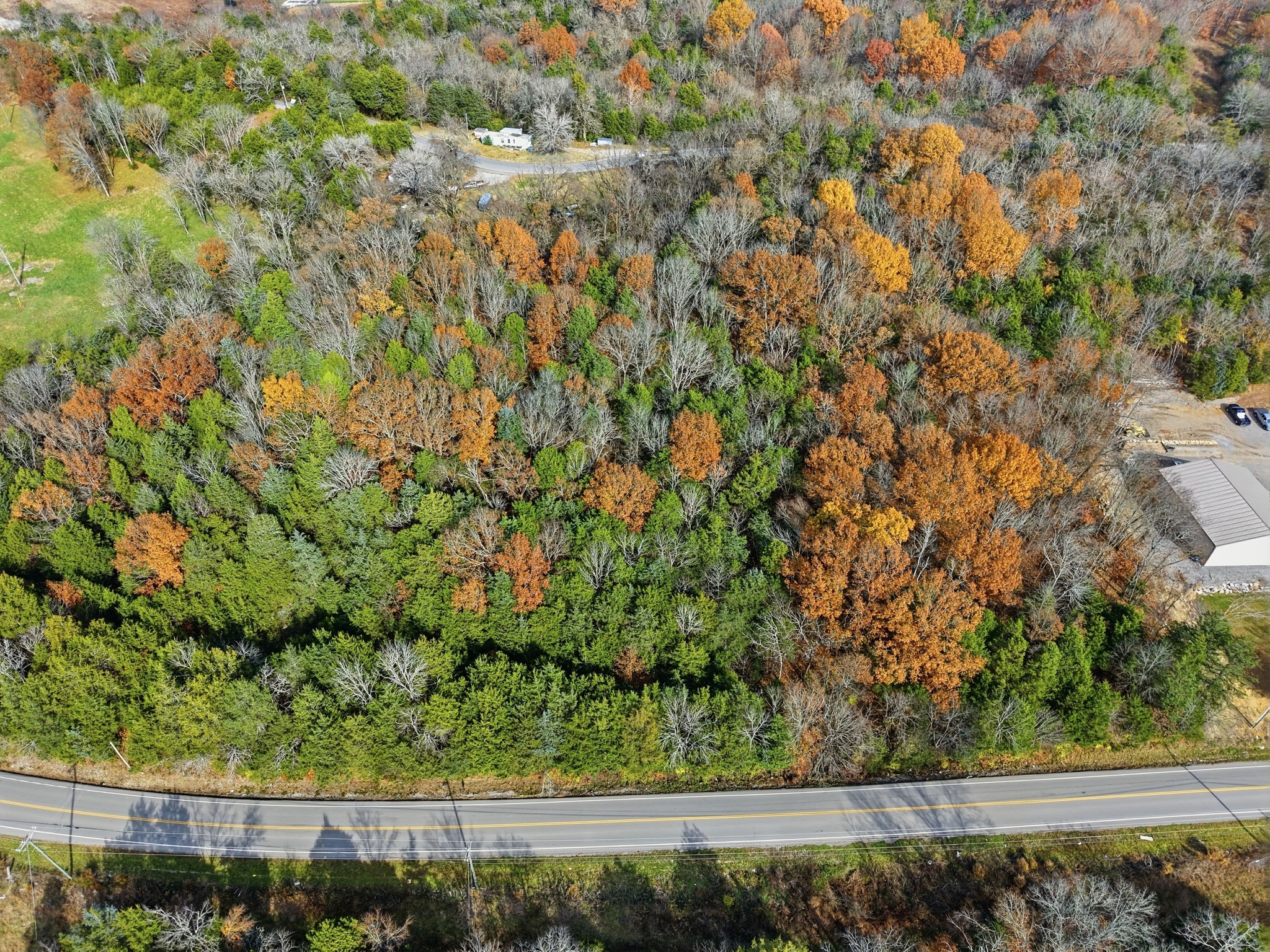 6476 Arno-College Grove Road College Grove, TN 37046 - Photo 2 of 9 a view of a yard