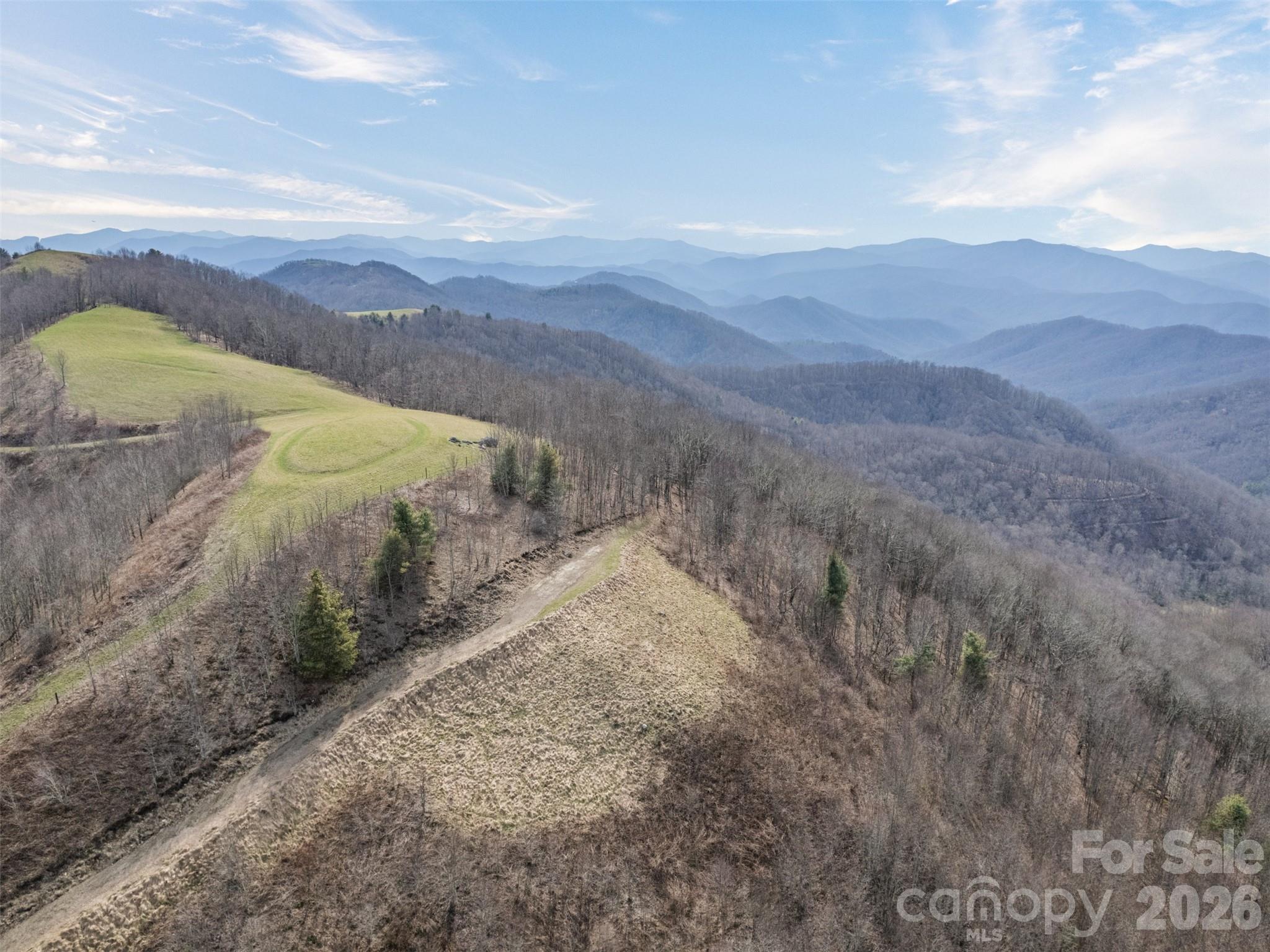1007 Turkey Trot Road Clyde, NC 28721 - Photo 48 of 48 a view of a dry yard with mountains in the background