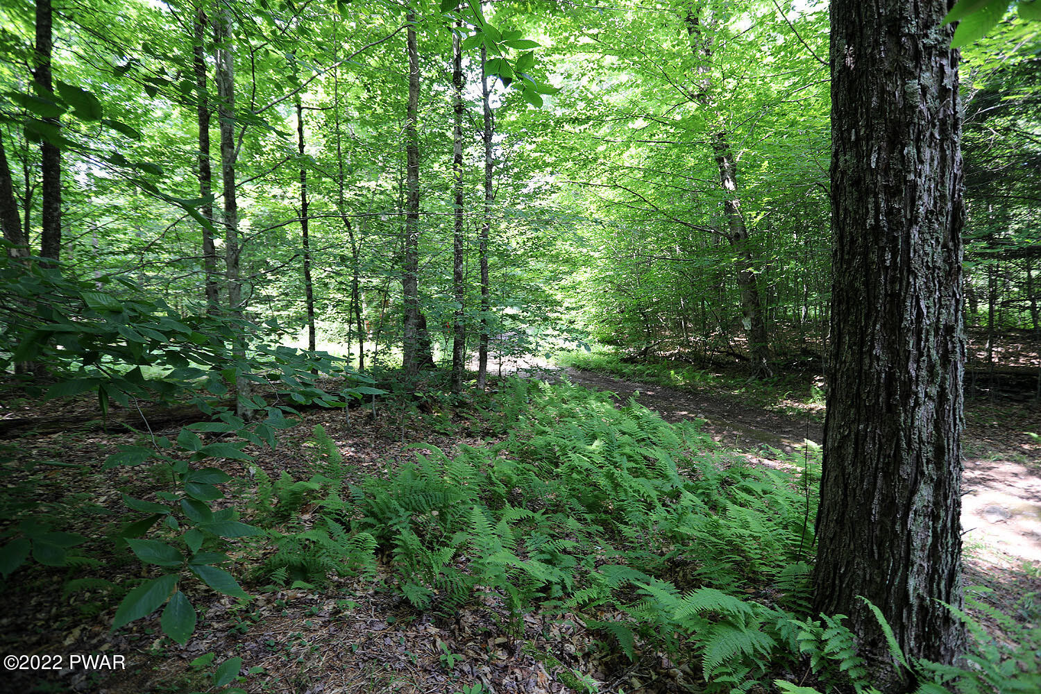 0 Minckler Mountain Road Damascus, PA 18415 - Photo 9 of 43