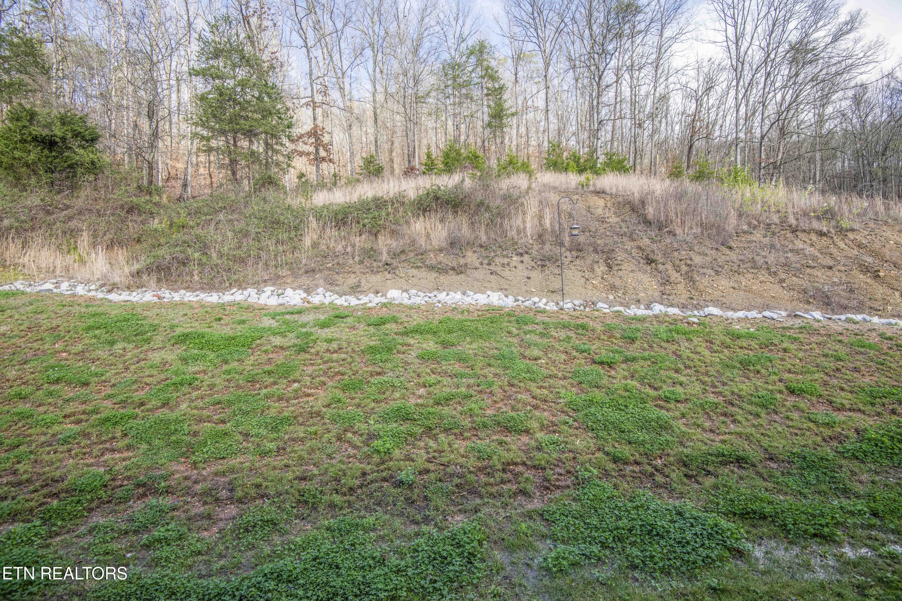 100 Claude Steadman Place Clinton, TN 37716 - Photo 43 of 43 yard 4_1